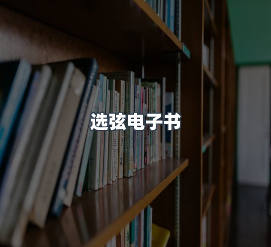 关于选弦电子书